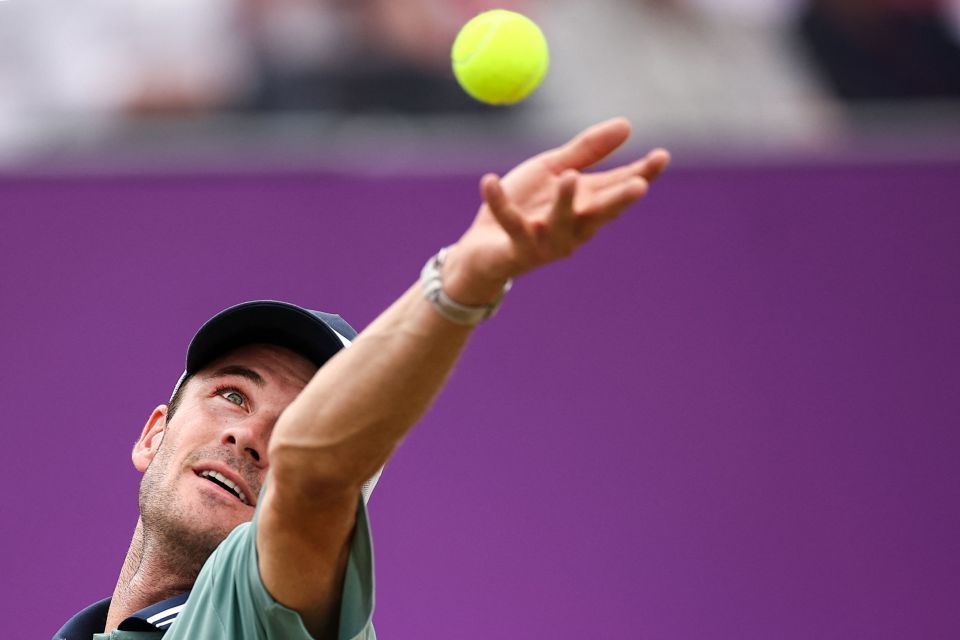 数字和荣誉 数字和荣誉