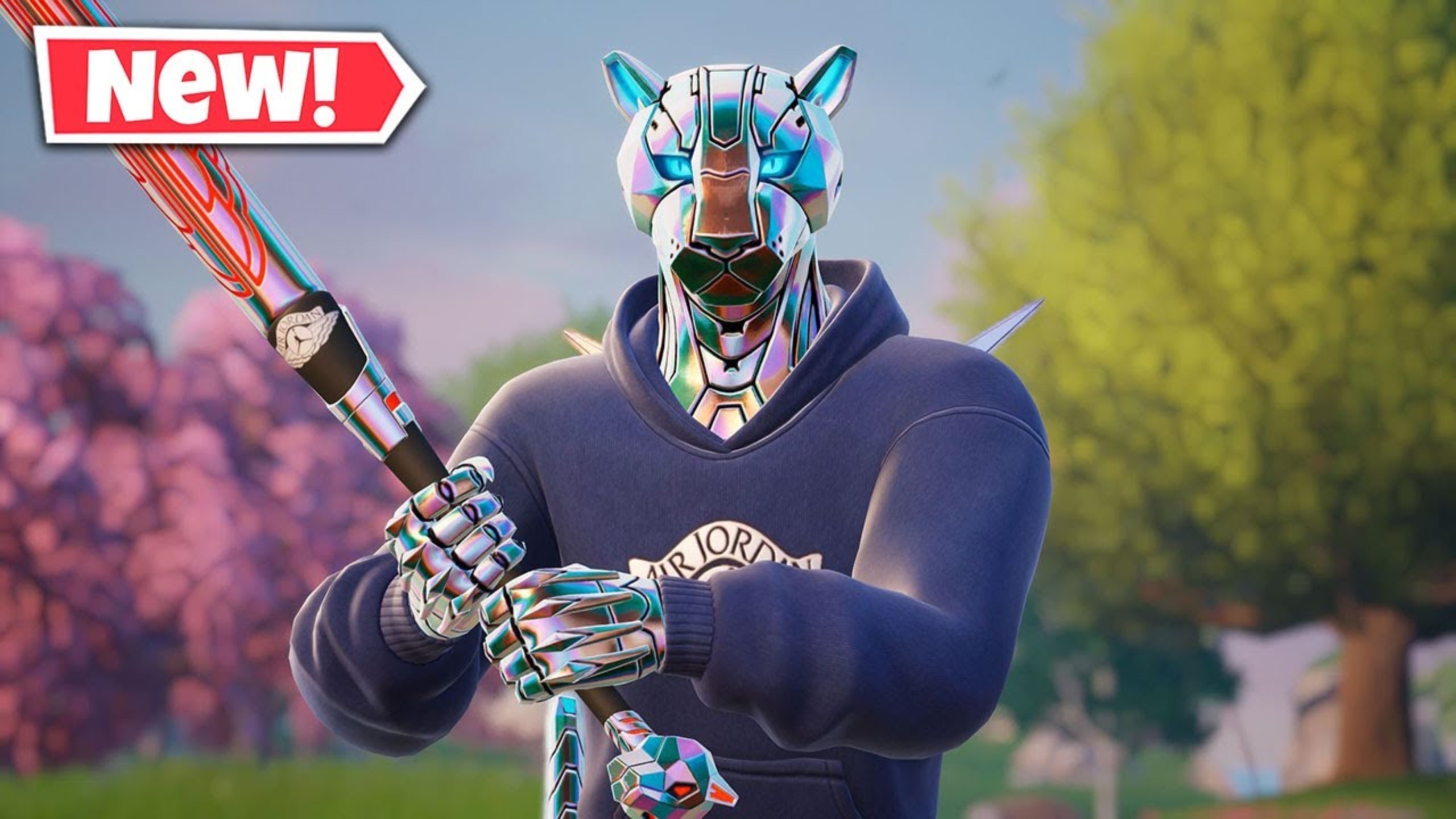 球员成长历 球员成长历